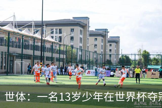 世体：一名13岁少年在世界杯夺冠庆祝活动中身亡
