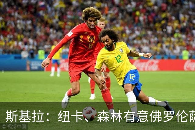 斯基拉：纽卡、森林有意佛罗伦萨后卫多多，已进行了询问