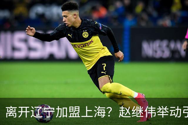离开辽宁加盟上海？赵继伟举动引猜想，卢伟表态有深意 1队更合适