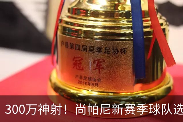 300万神射！尚帕尼新赛季球队选项 马刺可提供起薪2100万续约合同